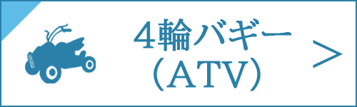 四輪バギー（ATV）の買取をお考え中の方は、コチラ