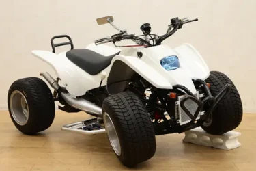 実動 ミニカー バギー 公道 走行1500km STREAK50 ACCESS ATVの高価現金買取ならかんざぶろう！